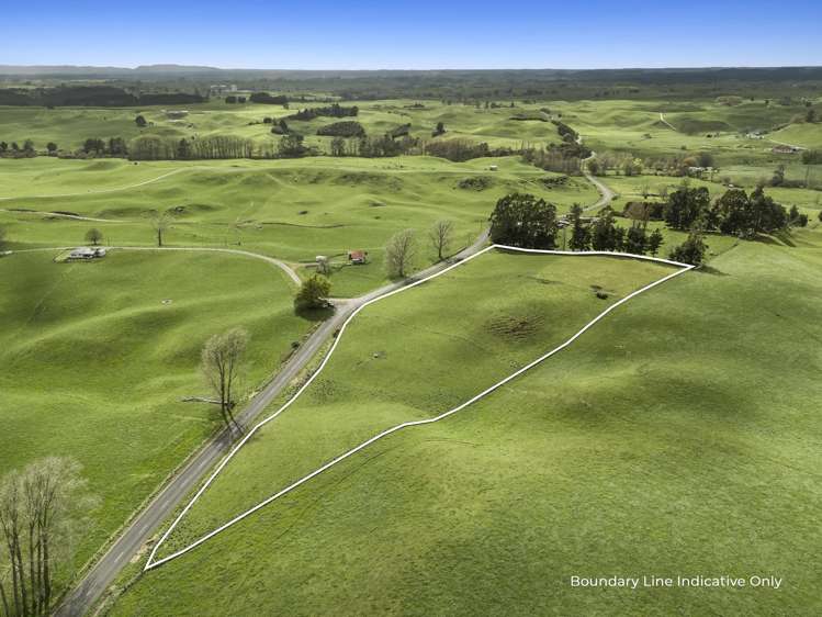 557 Wiltsdown Road_3