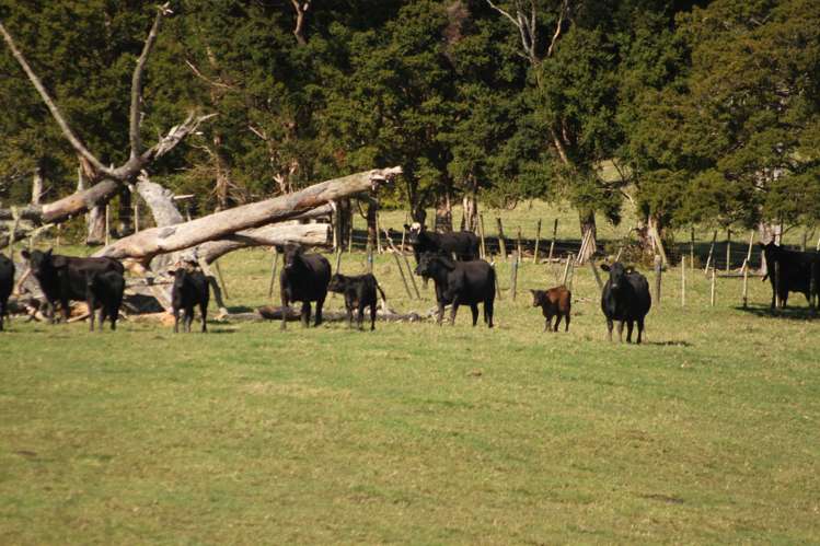 140 Kenana Road Mangonui Surrounds_32