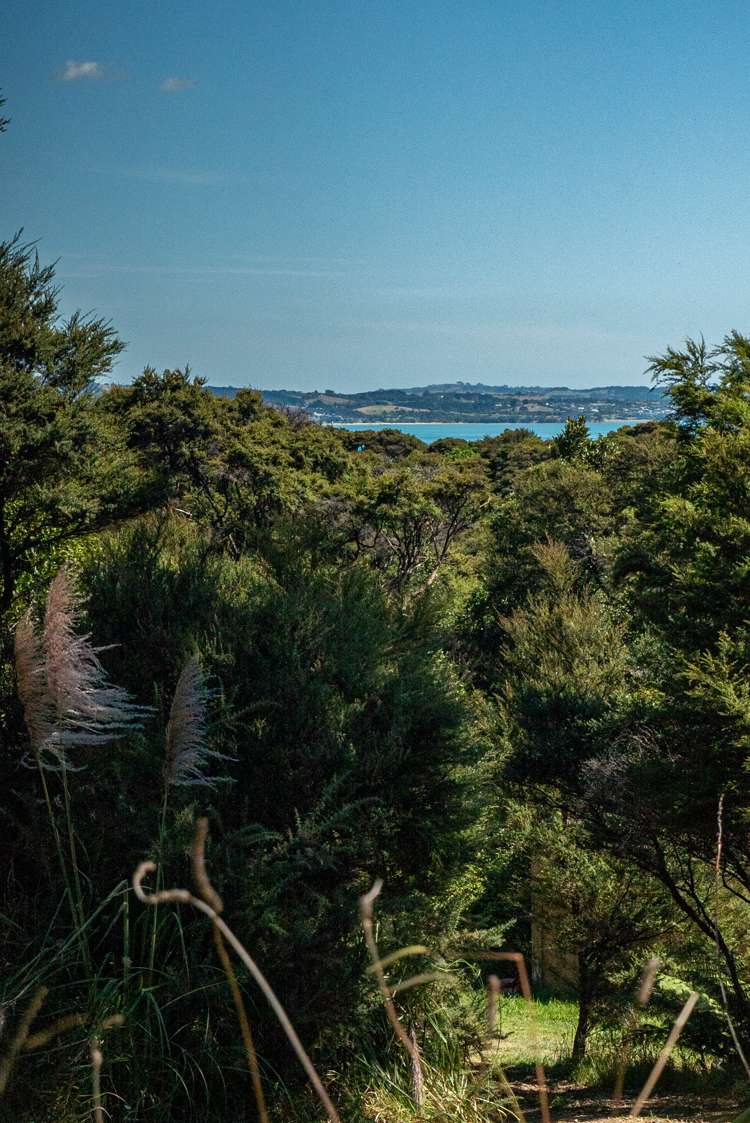 100 Musson Drive Waiheke Island_15