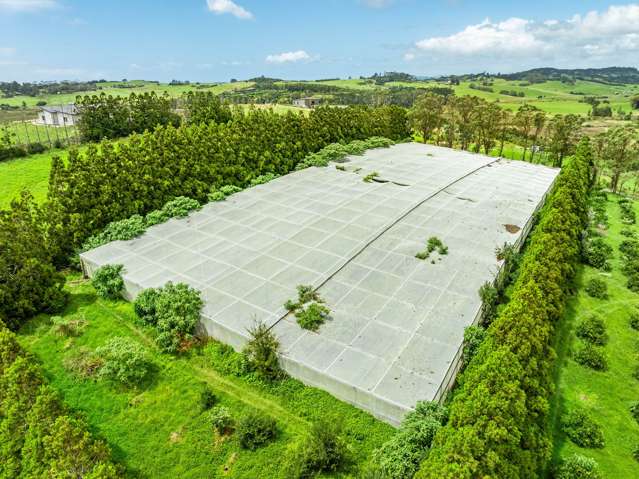 1/69 Vineyard Lane Mangawhai_3