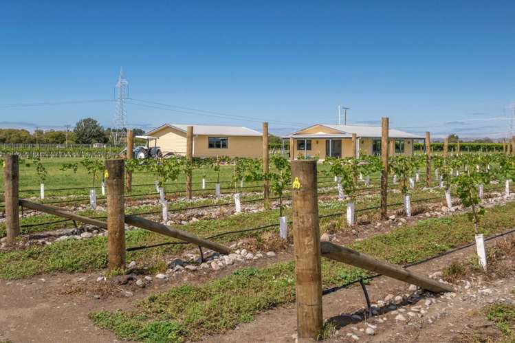 101 Flaxmill Drive Rarangi_30