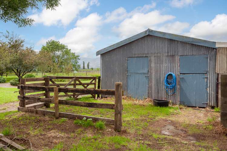 708 Waghorn Road Manawaru_34