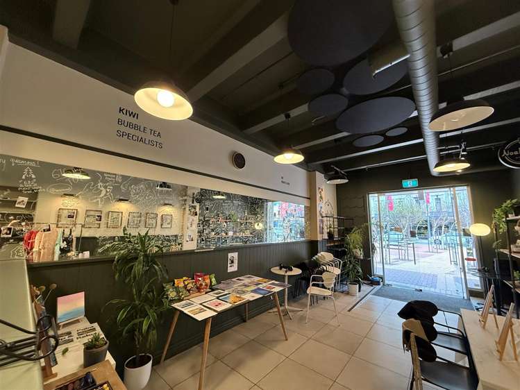 89 Courtenay Place Te Aro_5