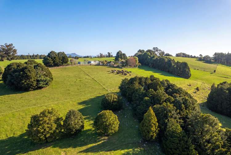 43 Waiariki Road Whakapara_42