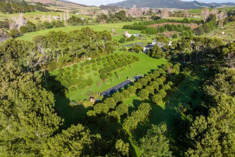 52B Hooks and Halls Road Waimamaku_5