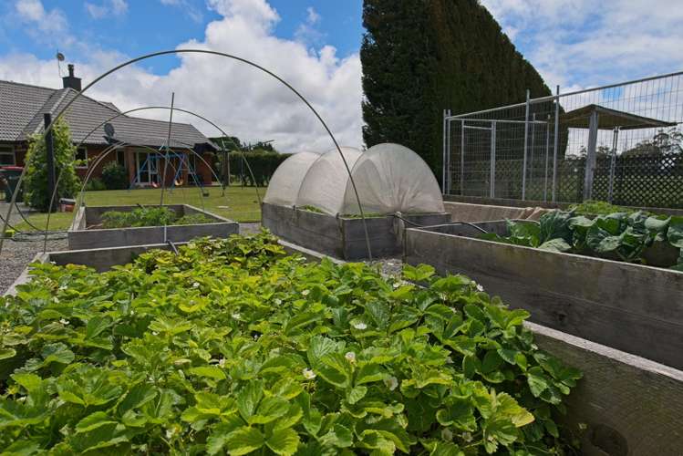 244 Greenpark Road Lincoln_16