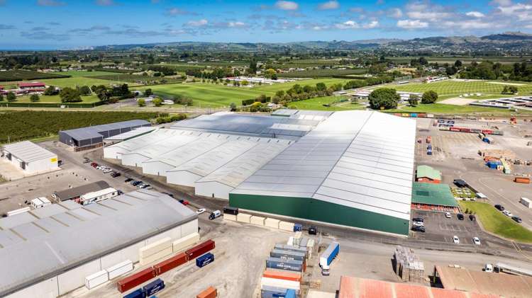 113 Elwood Road Tomoana_10