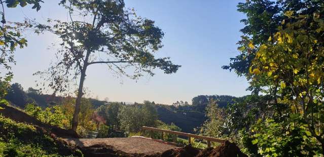 Rural Home Sitting In The Trees