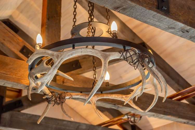 27 Wroxton Terrace Merivale_23