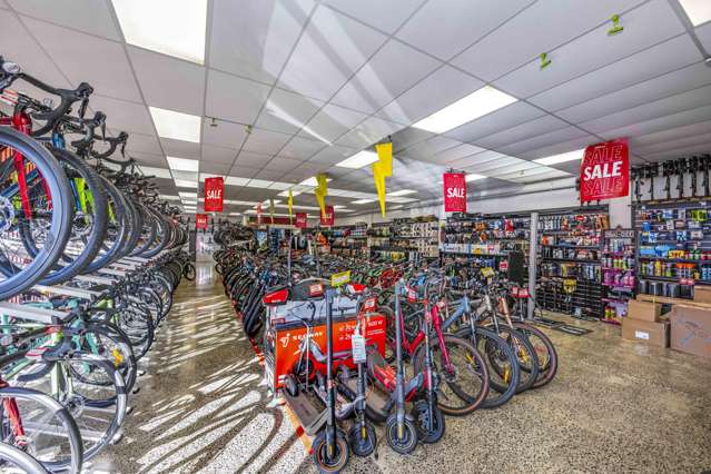 160 Apirana Avenue Glen Innes_3