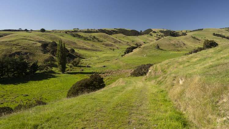 453 Dry River Road Martinborough_13