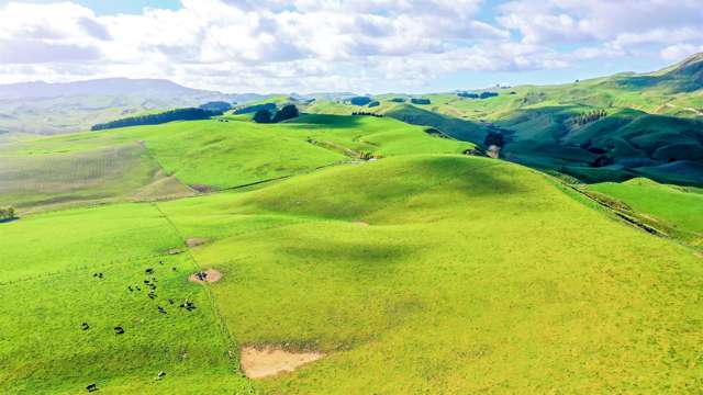 49 Tuturewa Road Rangitikei Surrounds_4