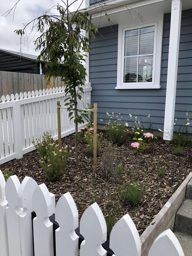  A/51 Bletsoe Avenue Spreydon_12