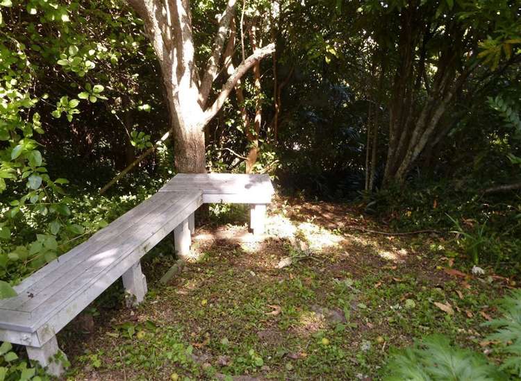 204 Mount Sea Road Thames_21