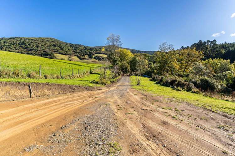 315 Leith Valley Road Leith Valley_12