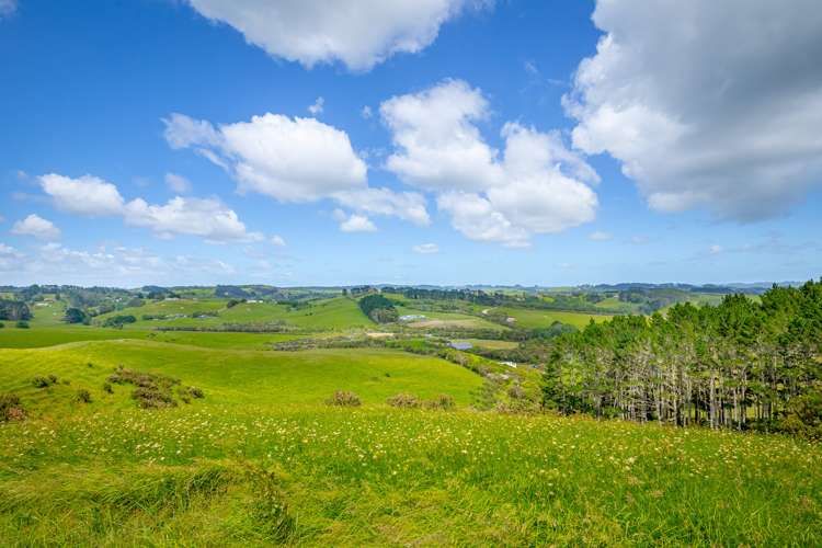 515 Kahikatea Flat Road Waitoki_16