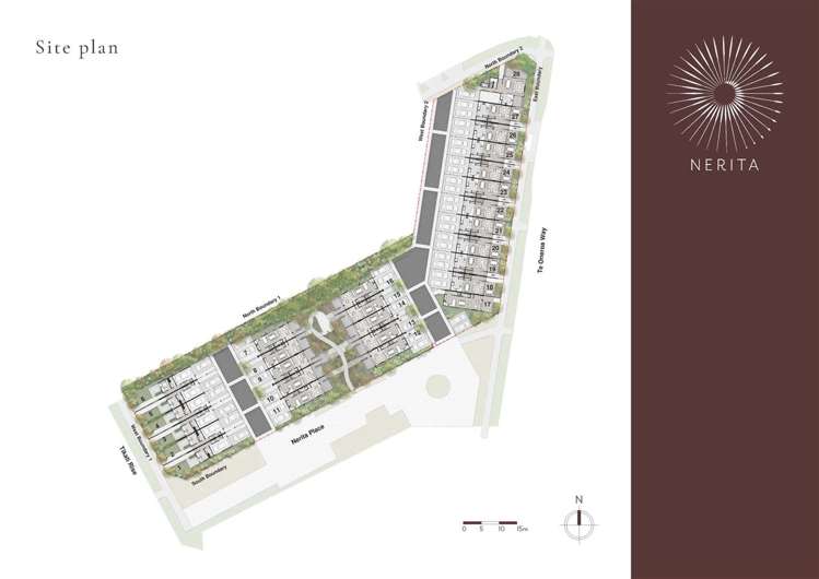 2d Nerita Place Long Bay_15