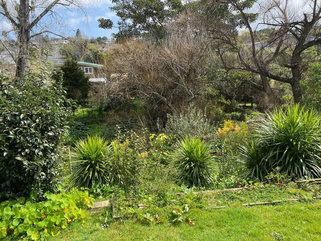 70 Robbies Road Shelly Park_1