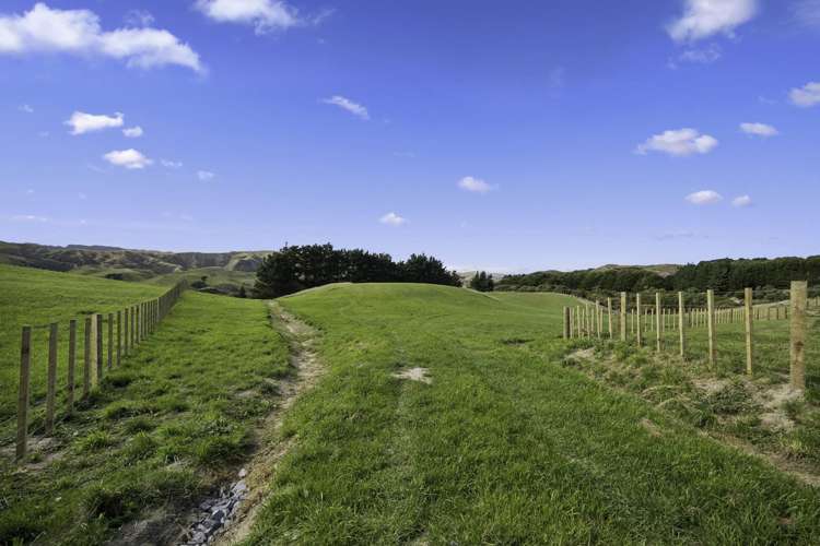 74 Coroglen Rise Pukerua Bay_4