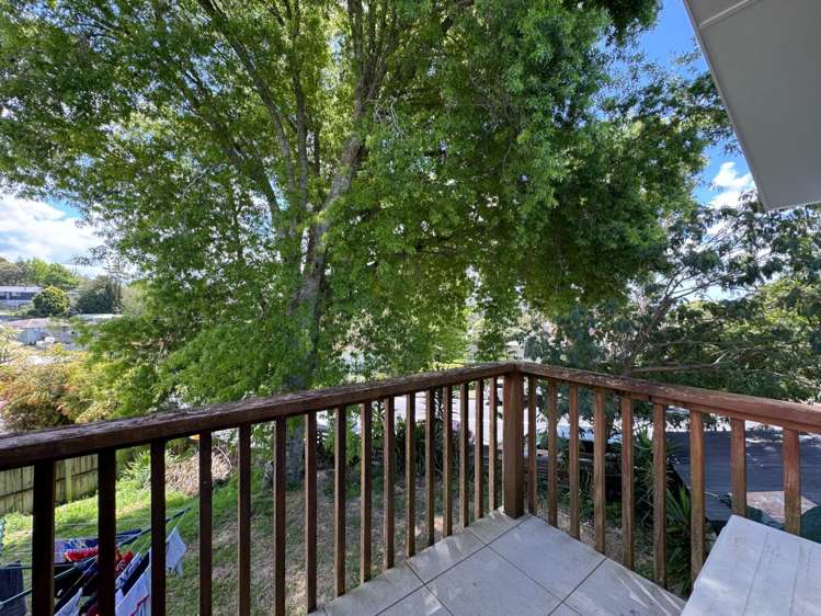 17 Hewlett Road Massey_17