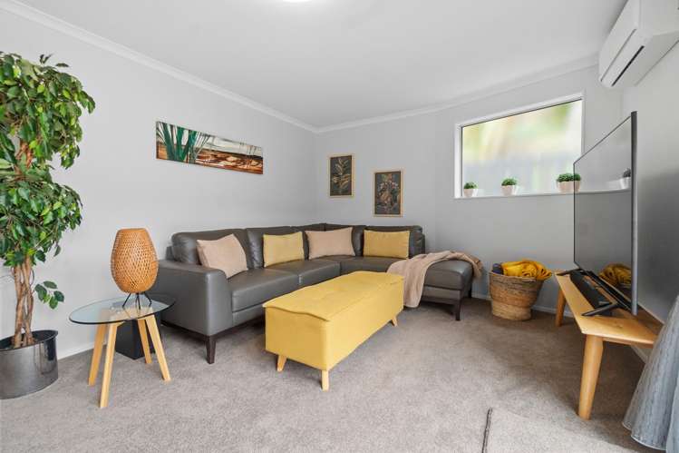 298B Mount Albert Road Sandringham_9