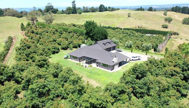 108G Kauri Point Road Tahawai_2