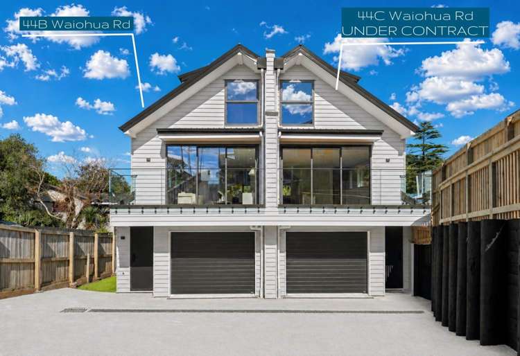 44B & 44C Waiohua Road_0