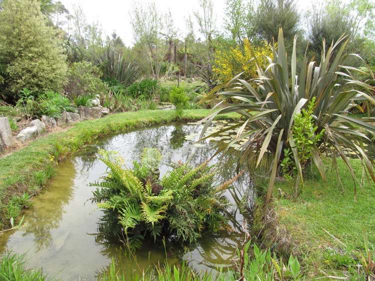 29 Neighbours Street Waimangaroa_19