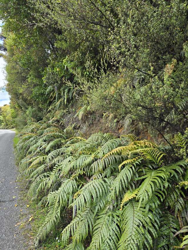 7 Rata Street Stewart Island_1