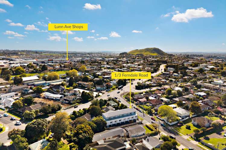 1/3 Ferndale Road Mount Wellington_22