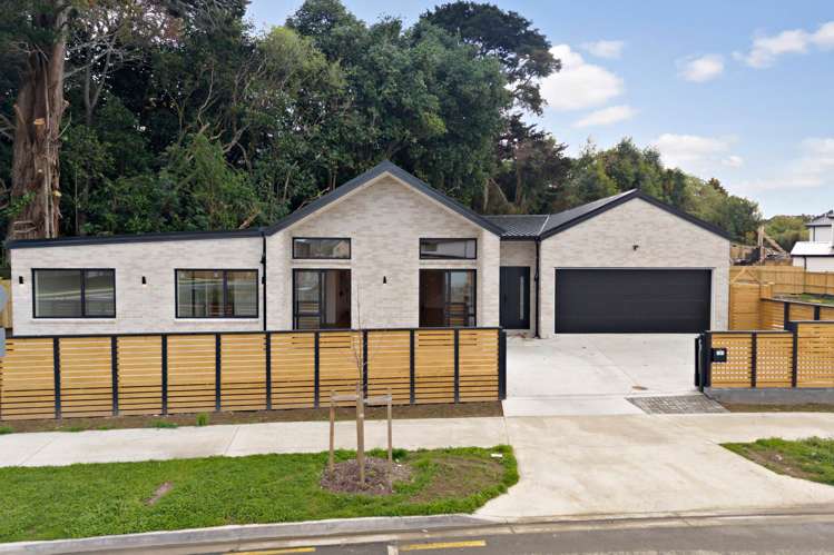 5 Mangapu Road_5