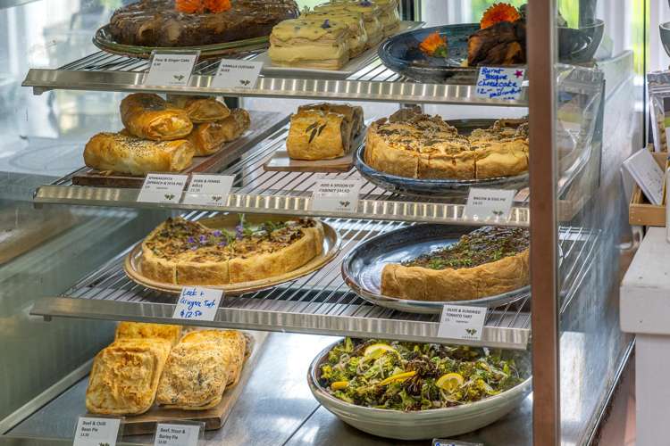 895 Tairua Whitianga Road, SH25 Whenuakite_42