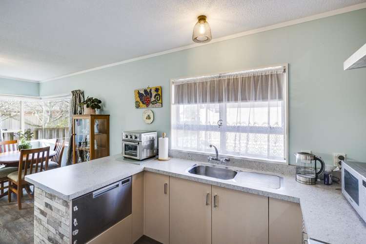 3/427 Gloucester Street Taradale_3