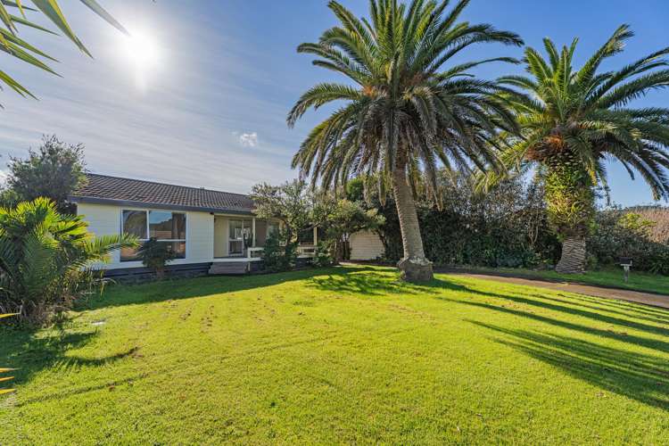 4 Springbok Avenue Whitianga_3