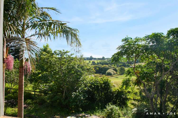 218 Postman Road Dairy Flat_11