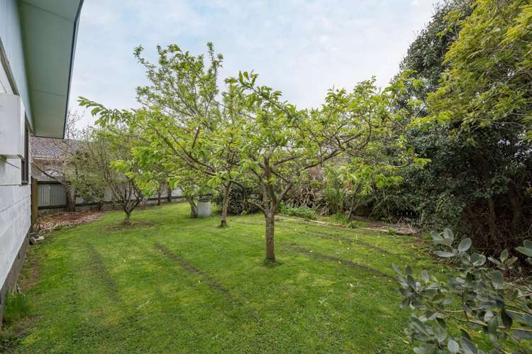 2 Chandler Street Tahunanui_16