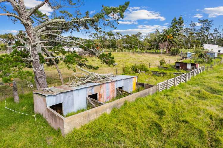 1091 Pouto Road Dargaville_26