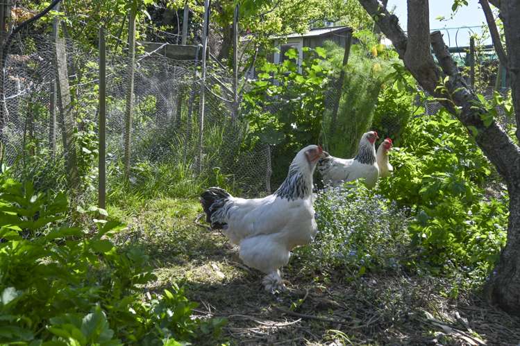 571 Lyndhurst Road Frimley_22