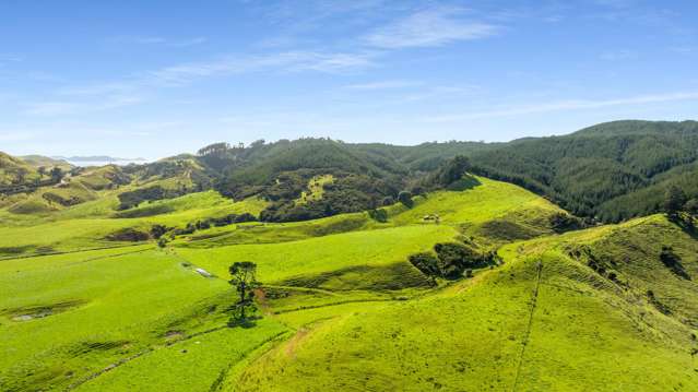 550 Black Jack Road Opito Bay_1