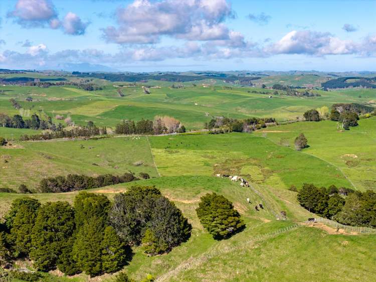 1698 Hetherington Road Huntly_9