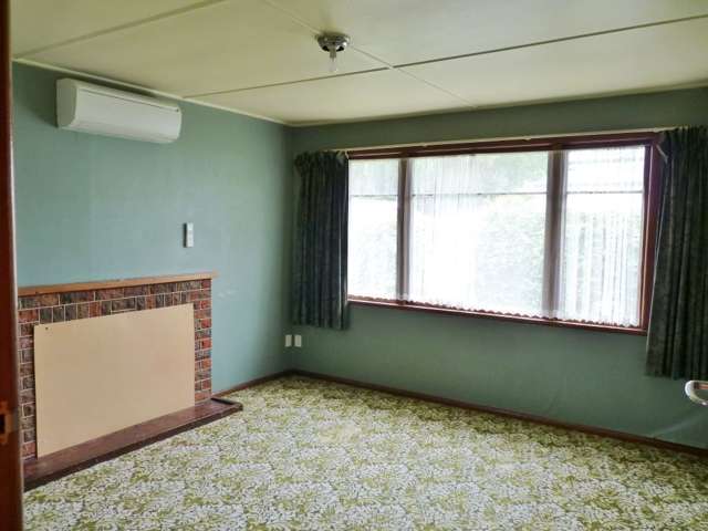 909 Freyberg Street Raureka_3