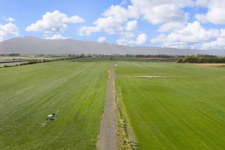 Waghorn Road Manawaru_5