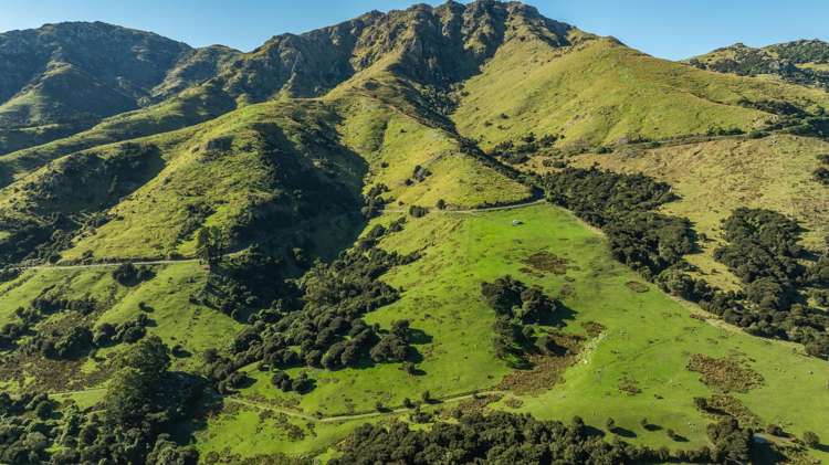 168-240 Purau Port Levy Road Purau_11