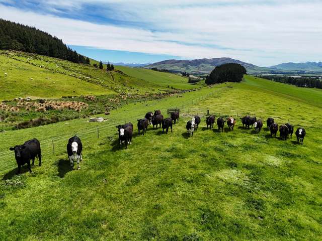 242 Caroline Valley Road Caroline_4