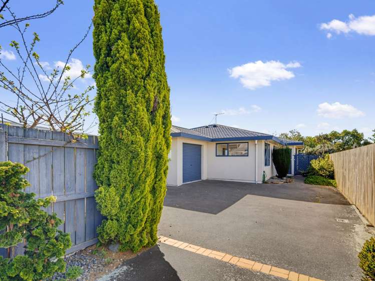 126a Cleghorn Street Redwoodtown_24