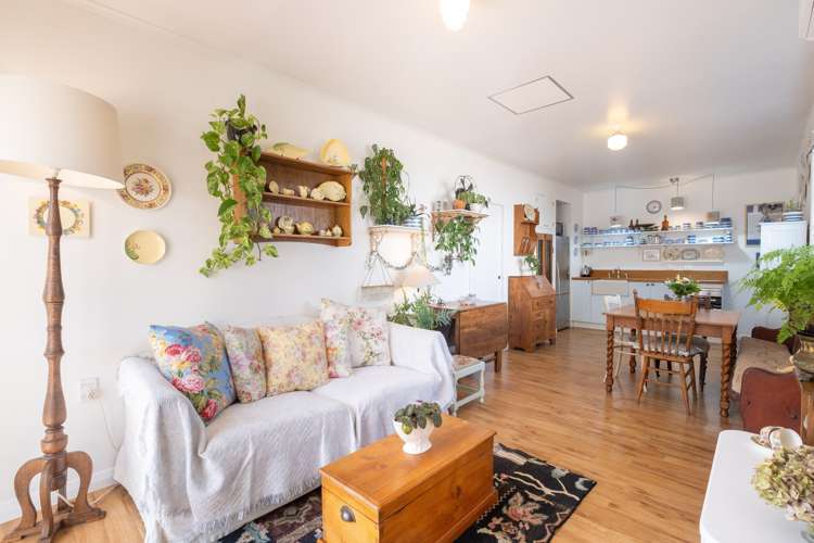 31 Fitzroy Road Bluff Hill_17