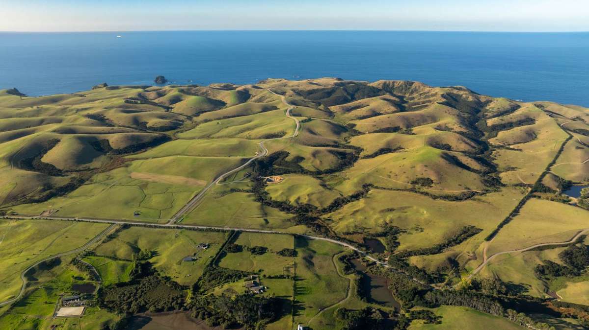 1811 Rangihoua Road_2