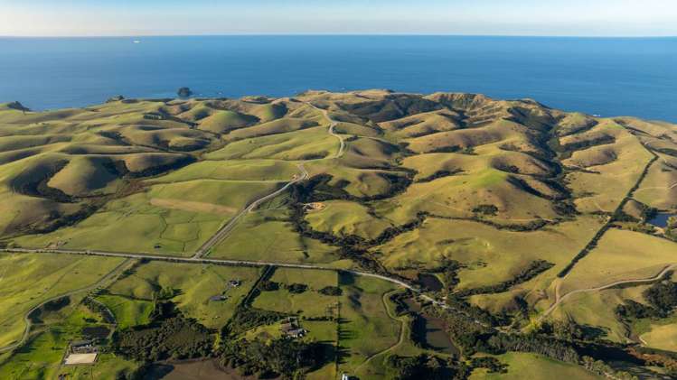 1811 Rangihoua Road Kerikeri_6