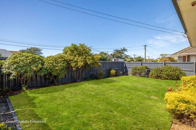 323 Hills Road 1481_11