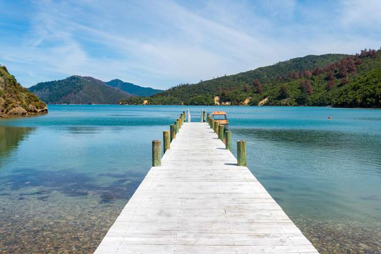 Ngaruru Bay, Tory Channel Queen Charlotte Sound_30